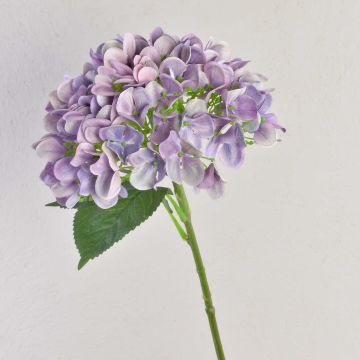 Samt Hortensie RELENA, hellviolett, 65cm