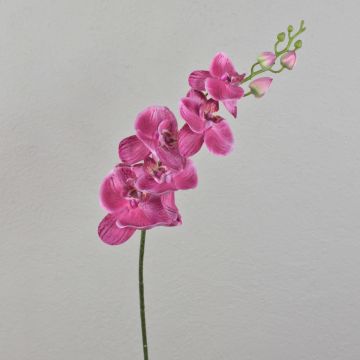 Dekozweig Phalaenopsis Orchidee AMARNE, pink, 85cm, Ø7-11cm