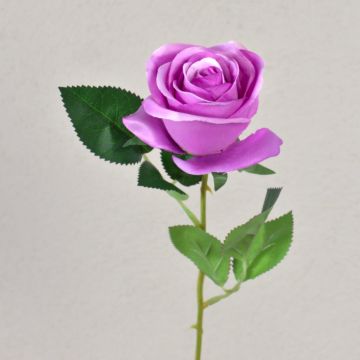 Samt Rose SEENSA, pink, 55cm, Ø7cm