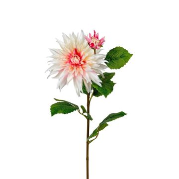Kunstblume Dahlie REMIANA, creme-rosa, 70cm Kunstblume Dahlie REMIANA, creme-rosa, 70cm