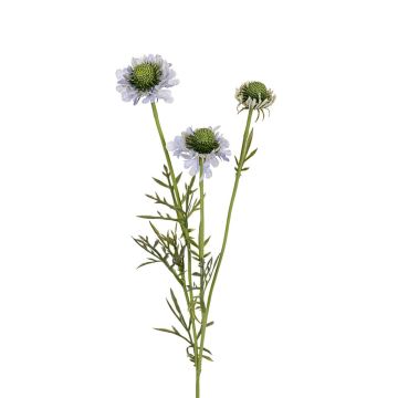 Künstlicher Zweig Scabiosa caucasica NOVALIA, hellblau, 60cm