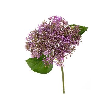 Textilblume Sedum telephium Blüte TAIHNA, lila, 30cm
