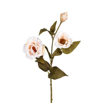 Künstlicher Zweig Lisianthus ELIEHNA, creme, 70cm Künstlicher Zweig Lisianthus ELIEHNA, creme, 70cm