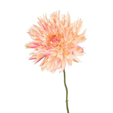 Kunstblume Dahlie ELOVYN, koralle, 70cm