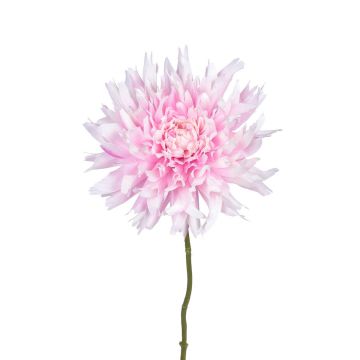 Kunstblume Dahlie ELOVYN, rosa, 70cm Kunstblume Dahlie ELOVYN, rosa, 70cm