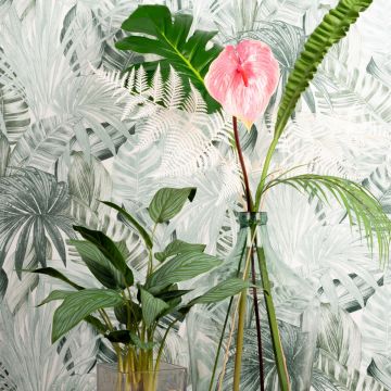 Stars of the Jungle