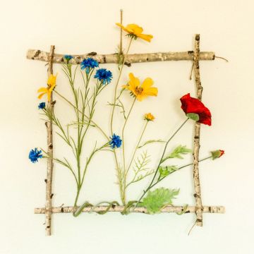 Die gerahmte Blumenwiese