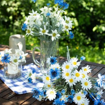 Oktoberfest - O’zapft is