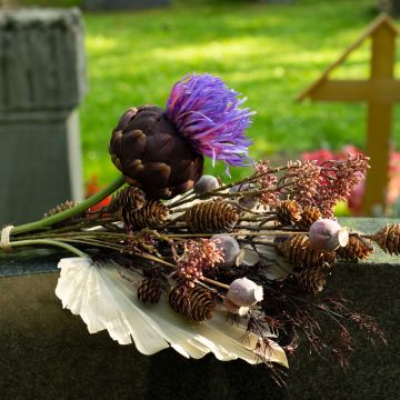 Allerheiligen – Für immer im Herzen