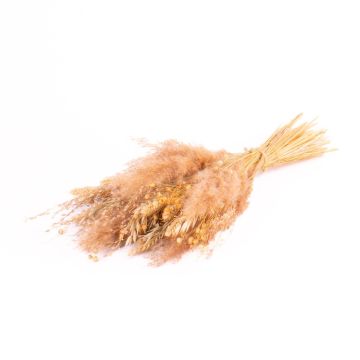 Trockenstrauß EISTLA, natur, 50cm, Ø23cm Trockenstrauß EISTLA, natur, 50cm, Ø23cm