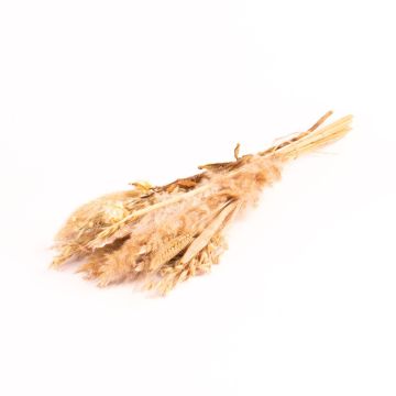 Trockenstrauß DILIANE, weiß-natur, 50cm, Ø15cm Trockenstrauß DILIANE, weiß-natur, 50cm, Ø15cm