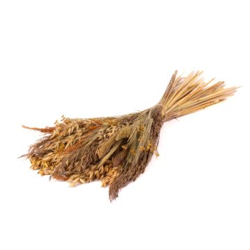 Getrockneter Strauß FALADA, natur, 65cm, Ø20cm Getrockneter Strauß FALADA, natur, 65cm, Ø20cm