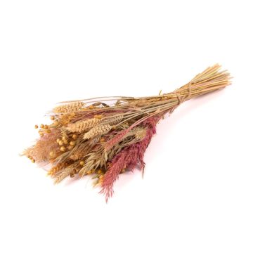 Trockenstrauß DILIANE, rosa-natur, 50cm, Ø15cm Trockenstrauß DILIANE, rosa-natur, 50cm, Ø15cm