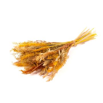 Trockenstrauß DILIANE, gelb-natur, 50cm, Ø15cm Trockenstrauß DILIANE, gelb-natur, 50cm, Ø15cm