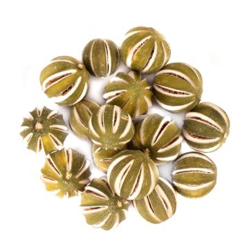 Deko Trockenfrüchte Limetten SIEGLINDE, eingeschnitten, grün, Ø4-5cm, 250g