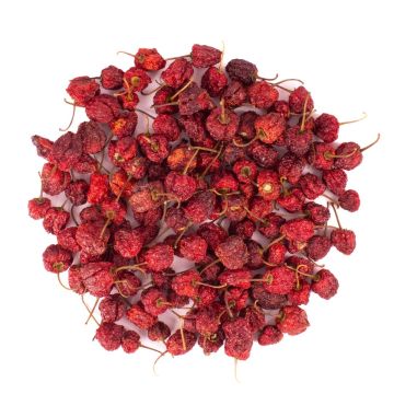 Deko Trockenfrüchte runde Chilis ANNELIESE, rot, Ø1-3cm, 200g