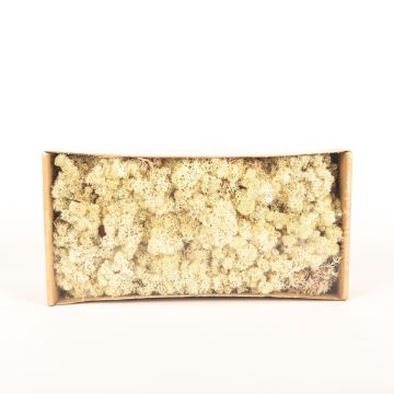 Isländisches Naturmoos SVEINBJÖRN, natur, 500g