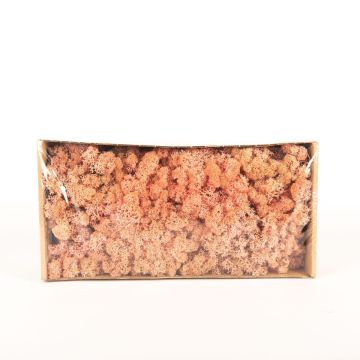 Isländisches Naturmoos SVEINBJÖRN, rosa, 500g