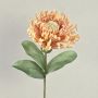 Deko Nadelkissen Protea ISLARTINA, creme-aprikose, 75cm
