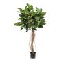 Künstlicher Gummibaum ADORU, Naturstamm, grün, 155cm