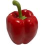 Deko Gemüse Paprika REKLA, rot, 8cm, Ø7,5cm