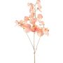 Kunstzweig Lathyrus latifolius SLIRKEN, aprikose, 75cm