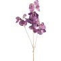 Kunstzweig Lathyrus latifolius SLIRKEN, dunkellila, 75cm
