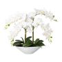 Kunst Phalaenopsis Orchidee KENTOL, Keramikschale, Wurzeln, weiß, 55cm