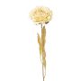 Künstliche Blume Pfingstrose MASNOR, Trockenoptik, creme, 65cm