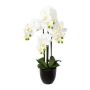 Deko Phalaenopsis Orchidee UKERNA im Resin-Übertopf, weiß, 70cm