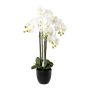 Deko Phalaenopsis Orchidee UKERNA im Resin-Übertopf, weiß, 85cm