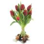 Kunst Tulpenstrauß LONA mit Zwiebeln, rot-schwarz, 35cm, Ø25cm