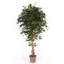 Kunststoffschaum Ficus Benjamini YANEXY, Naturstämme, grün, 200cm - Made in Italy