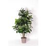 Künstlicher Gummibaum LAURINTU, Naturstämme, grün, 150cm - Made in Italy