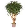 Plastik Ficus Benjamini MICHELE, Echtstamm, grün, 200cm - Made in Italy