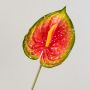 Künstliche Anthurium JASMINA, grün-rot, 75cm, 14x18cm