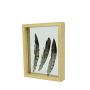 Holz Doppelglasrahmen NIELAS, braun, 22x17x5cm
