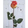 Kunststoffschaum Rose OPHELIE, orange-gelb, 85cm, Ø7cm