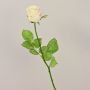 Kunststoffschaum Rose OPHELIE, creme-rosa, 85cm, Ø7cm