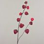 Kunst Physalis Zweig MARCY, Früchte, burgunderrot, 95cm