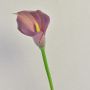 Kunst Zantedeschie TALEA, violett, 65cm, 9x11cm