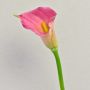 Kunst Zantedeschie TALEA, pink, 65cm, 9x11cm