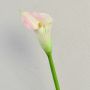 Kunst Zantedeschie TALEA, weiß-rosa, 65cm, 9x11cm