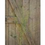 Künstlicher Fontänengras Zweig ZORANA, grün, 115cm