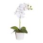 Kunst Phalaenopsis Orchidee TRALKE, Steckstab, Wurzeln, weiß, 40cm