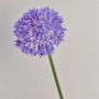 Dekoblume Zierlauch LISBETH, lila, 80cm, Ø15cm