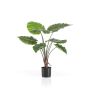 Kunstpflanze Alocasia Calidora FAYOR, grün, 70cm