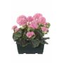 Kunst Geranien FLOREANA im Blumenkasten, 2 Stück, hellrosa, 24x11x34cm