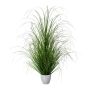 Deko Gras Lampenputzergras KIVRA im Dekotopf, grün, 90cm