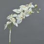 Textilzweig Phalaenopsis Orchidee NALANI, Schnee, weiß, 65cm, Ø8-9,5cm